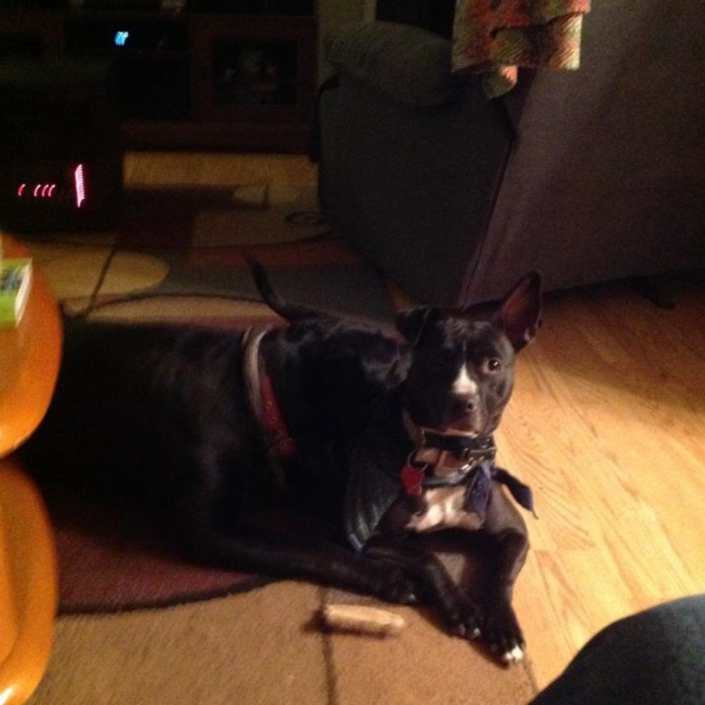 Meet your Posher, Sandy